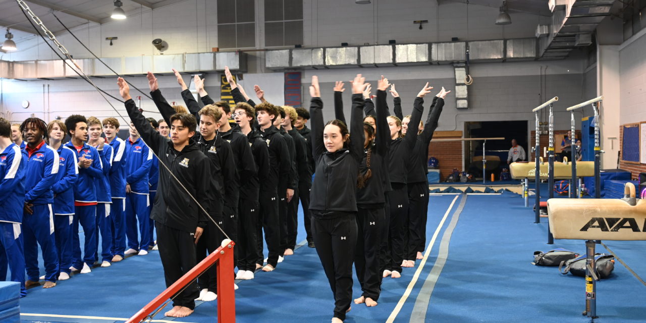 Gymnastics team use tournaments to prepare for district