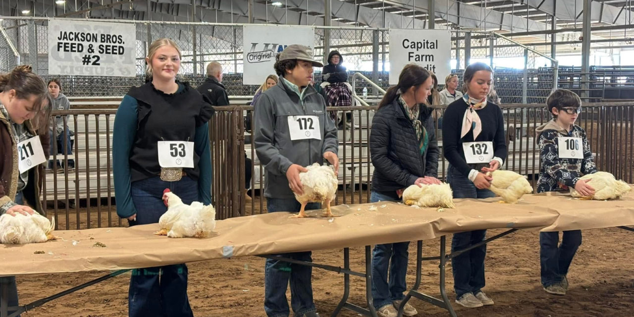 FFa Shows off impressive county results