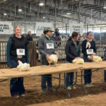 FFa Shows off impressive county results