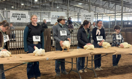 FFa Shows off impressive county results